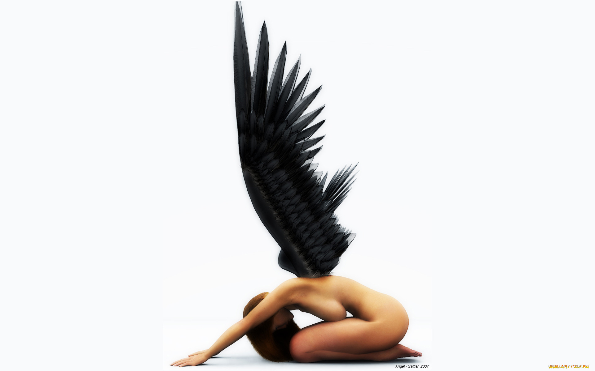 3, , angel, 